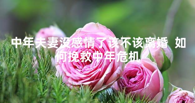 中年夫妻没感情了该不该离婚  如何挽救中年危机